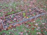 image of grave number 446946